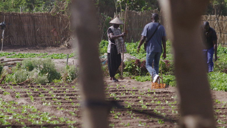 кадр из фильма Lado Lé