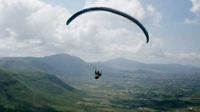 La Era de la Desconexión