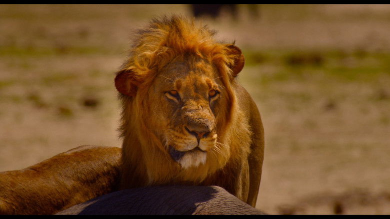 кадр из фильма Заколдованное королевство 3D