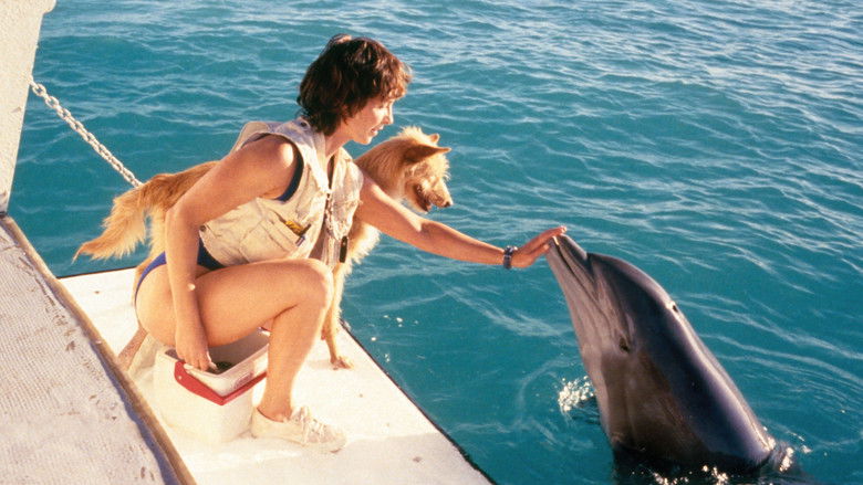 кадр из фильма Зевс и Роксана