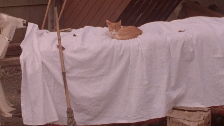 кадр из фильма 三月のライオン