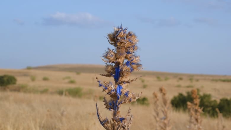 кадр из фильма Azul la mancha