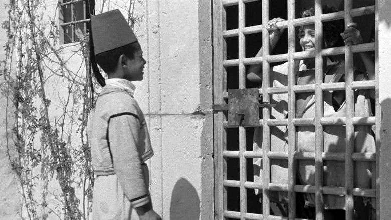 кадр из фильма Bim