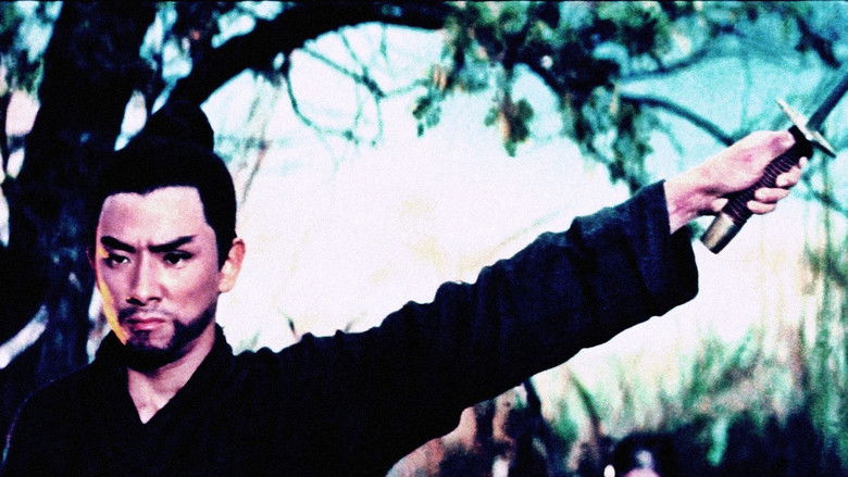 кадр из фильма Однорукий меченосец