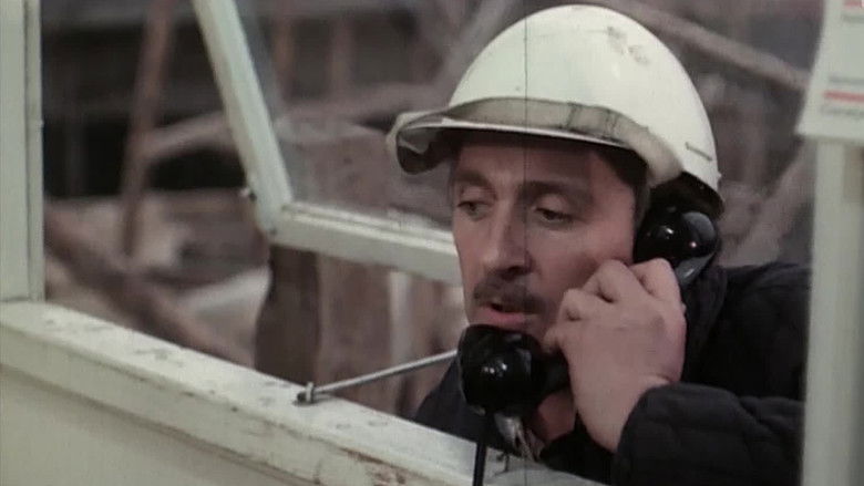 кадр из фильма Motylem jestem, czyli romans 40-latka