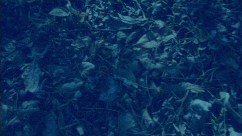 кадр из фильма Surface Memory Oblivion