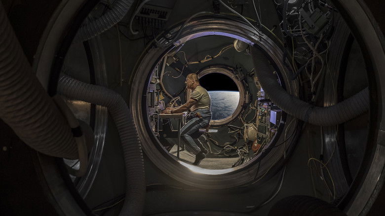 кадр из фильма Серхио и Сергей