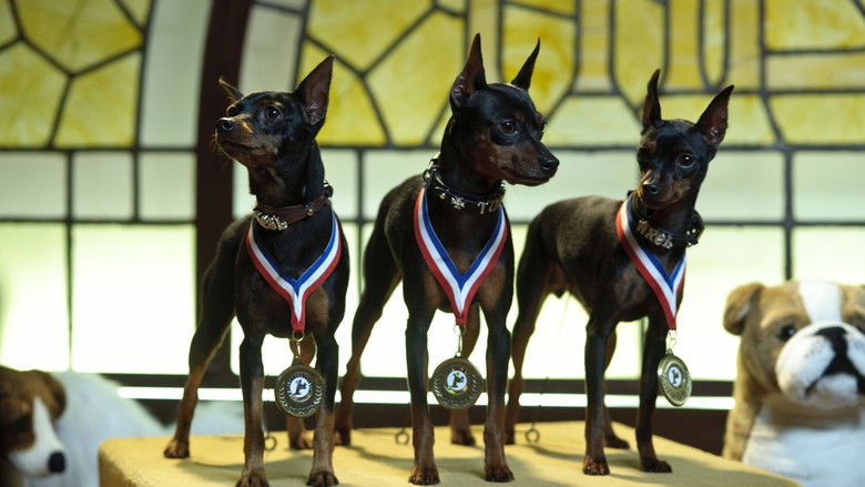 кадр из фильма Марли и я 2