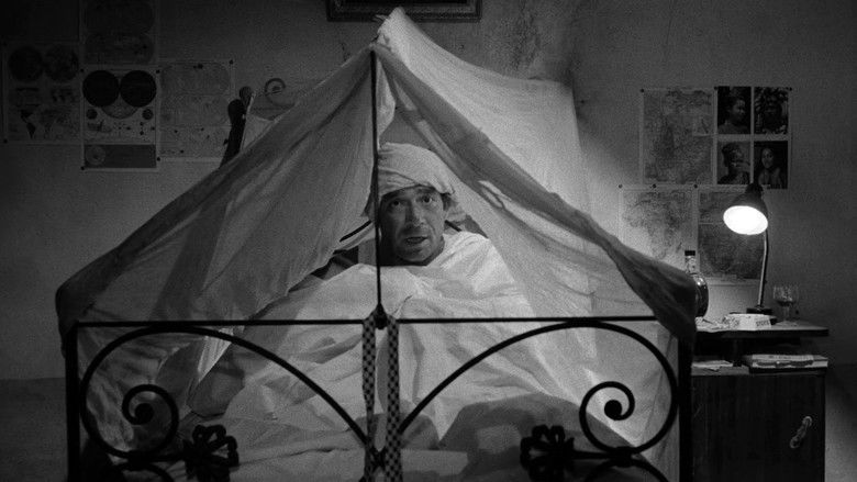 кадр из фильма I fuorilegge del matrimonio