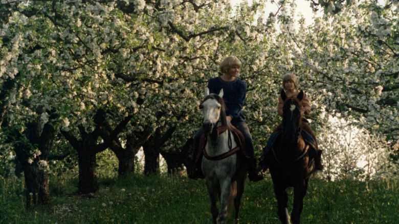 кадр из фильма Братья Львиное сердце