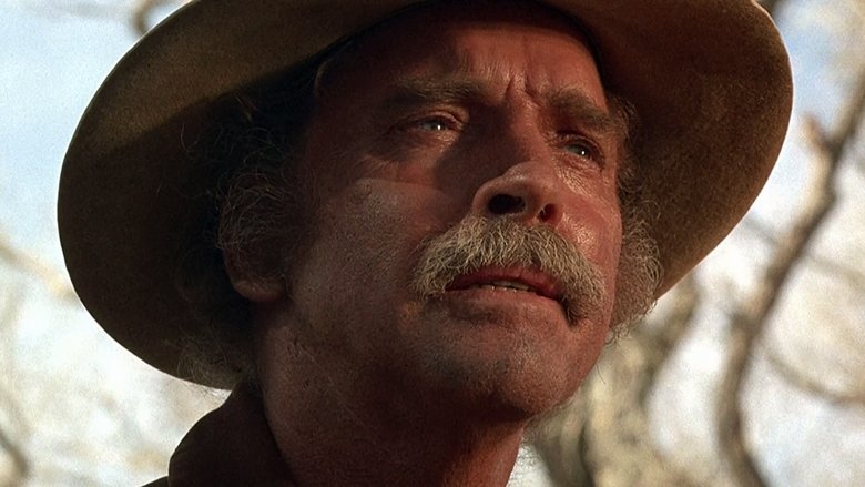 кадр из фильма Рейд Ульзаны