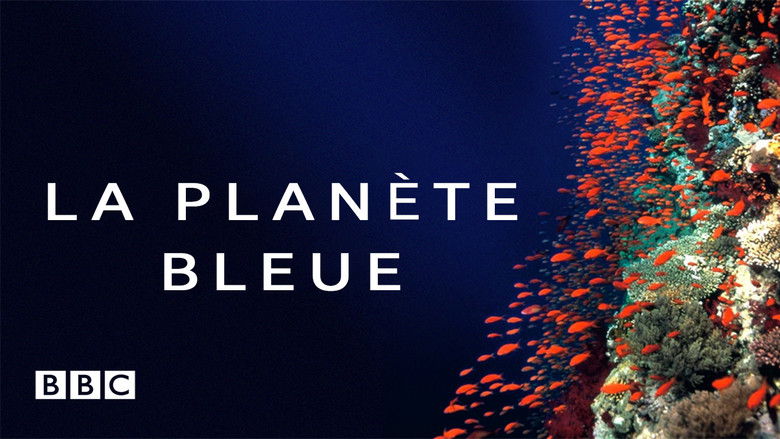 кадр из фильма Голубая бездна