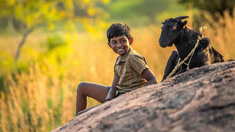 кадр из фильма கிடா