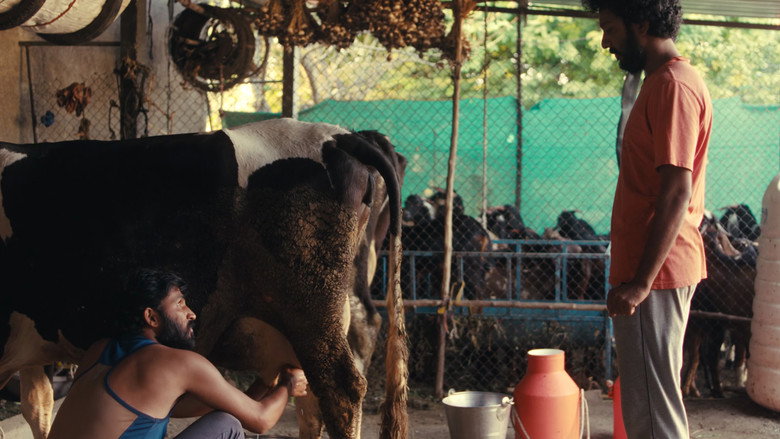 кадр из фильма साबर बोंडं