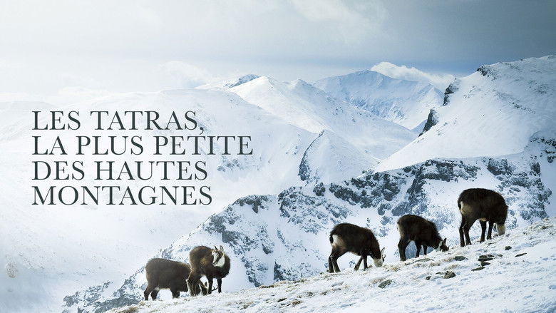 кадр из фильма Die Hohe Tatra - Leben am Abgrund