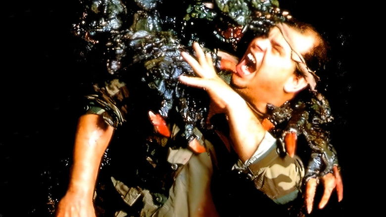 Наблюдатели 3