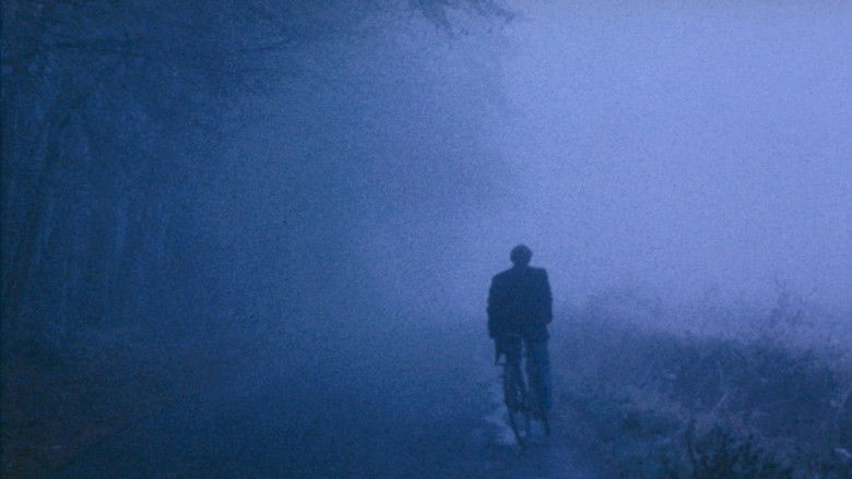 кадр из фильма Холодная вода