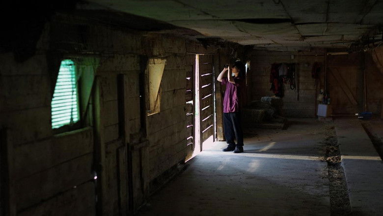 кадр из фильма Chinese Satellite