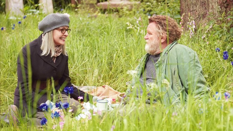 кадр из фильма Хэмпстед