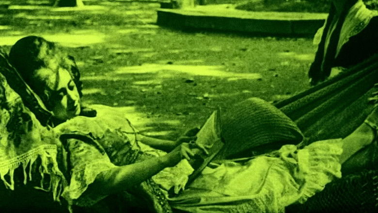 кадр из фильма Malmequer