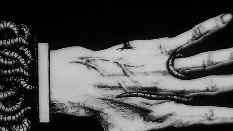 кадр из фильма Como as Asas Estão Ligadas às Costas dos Anjos