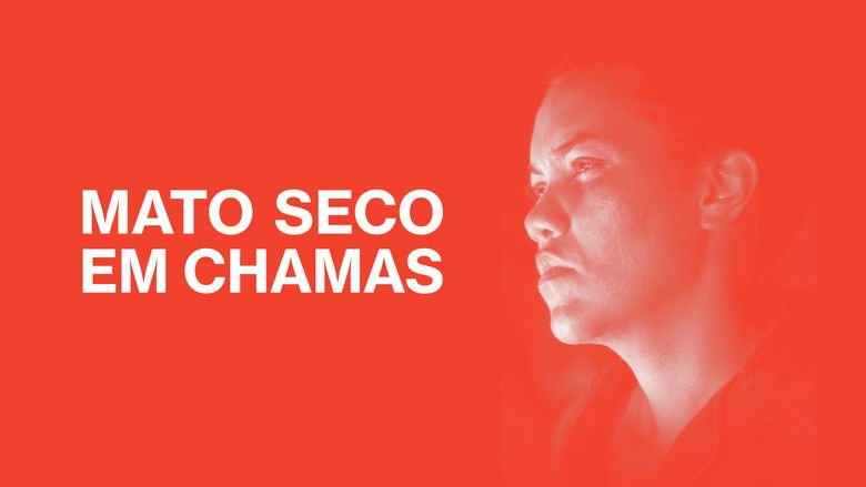 кадр из фильма Mato Seco em Chamas