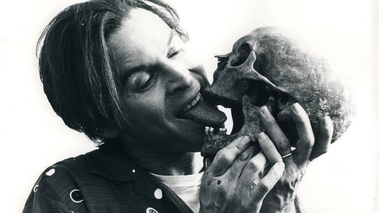 кадр из фильма Het veld van eer