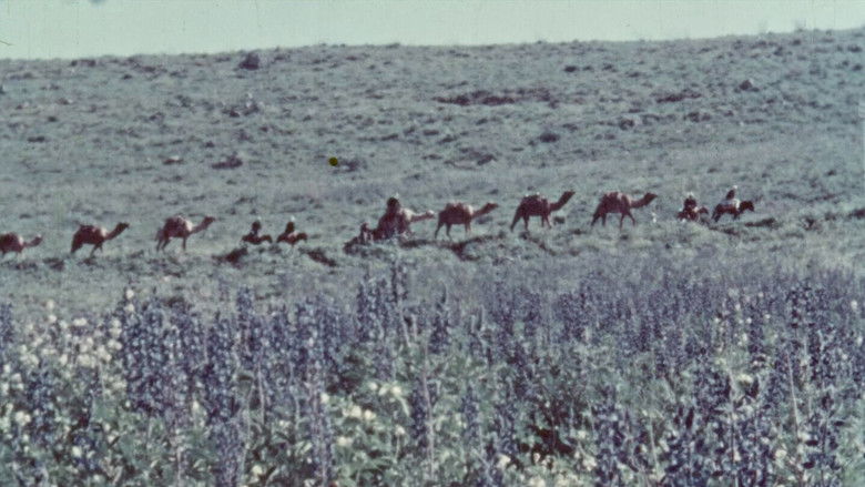 кадр из фильма The Flowers Stand Silently, Witnessing