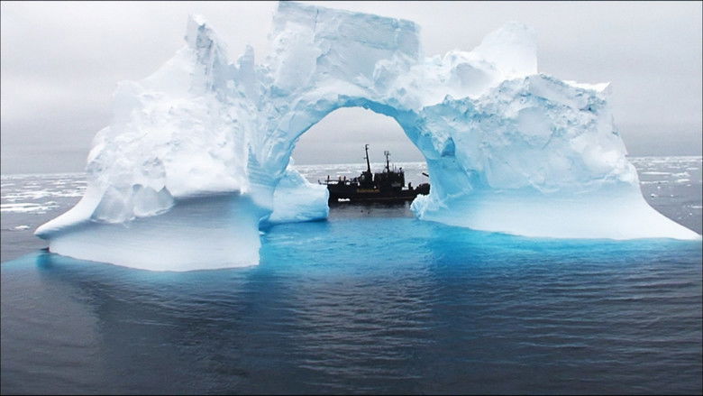 кадр из фильма At the Edge of the World