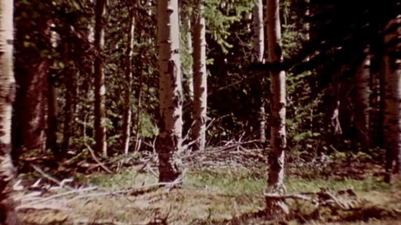 кадр из фильма The Wold-Shadow