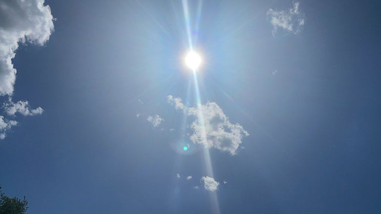 кадр из фильма Circadian