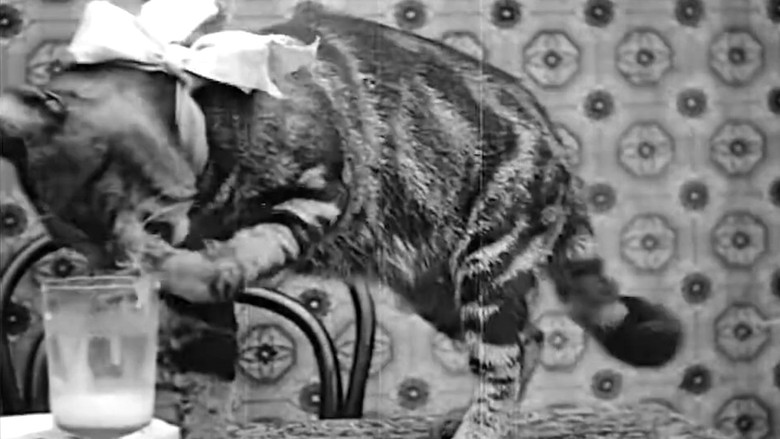 кадр из фильма Le Déjeuner de Minet