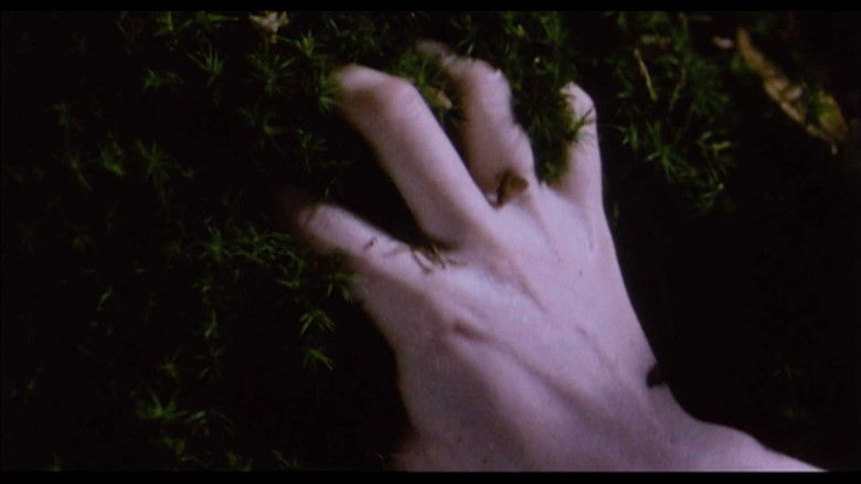 кадр из фильма Belle de Nature