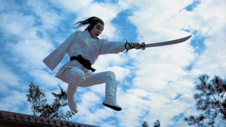 кадр из фильма 新獨臂刀