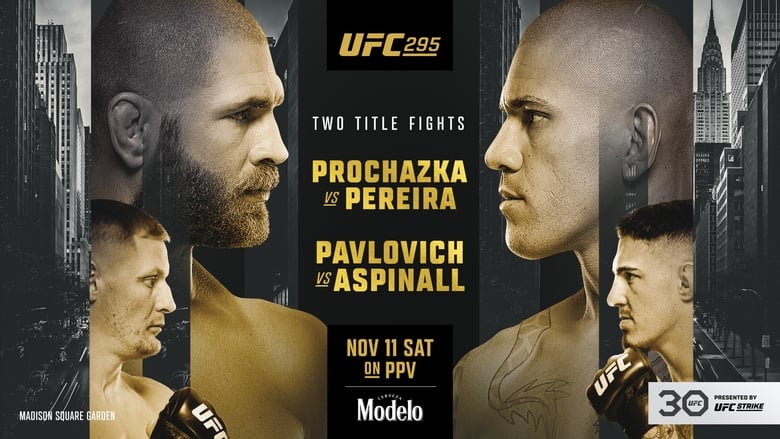 кадр из фильма UFC 295: Prochazka vs. Pereira