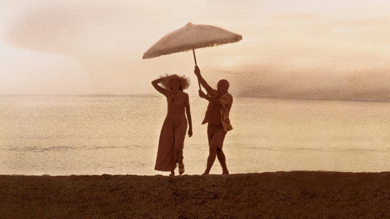 кадр из фильма Прожить жизнь с Пикассо