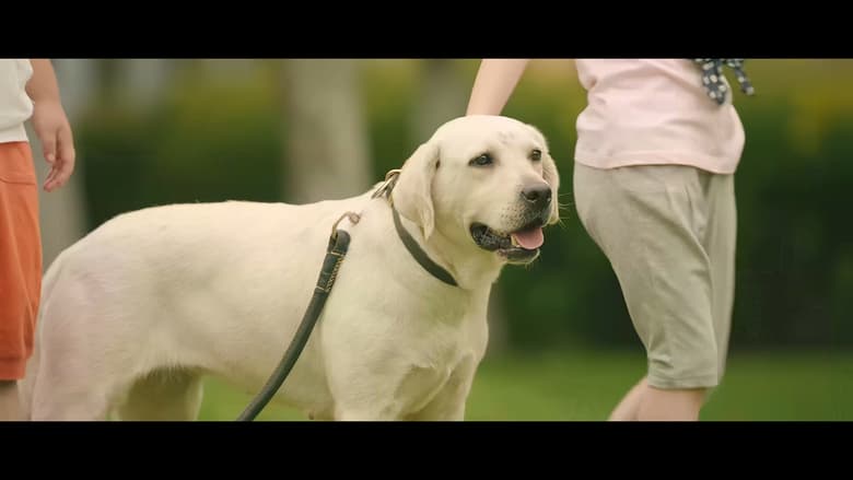 кадр из фильма 神犬出击