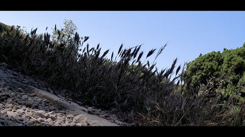 кадр из фильма Kinetic: The Art of Oneself