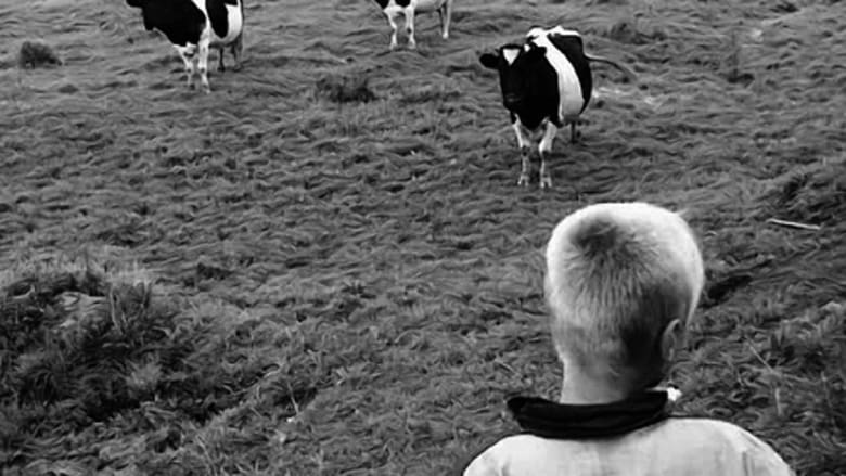 Следующее воскресенье