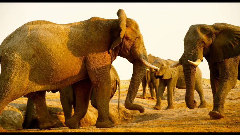 Заколдованное королевство 3D