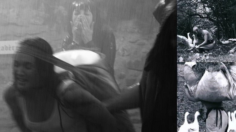 кадр из фильма La gardeuse d'oies à la fontaine