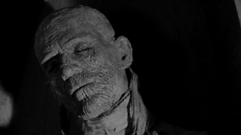 кадр из фильма Мумия