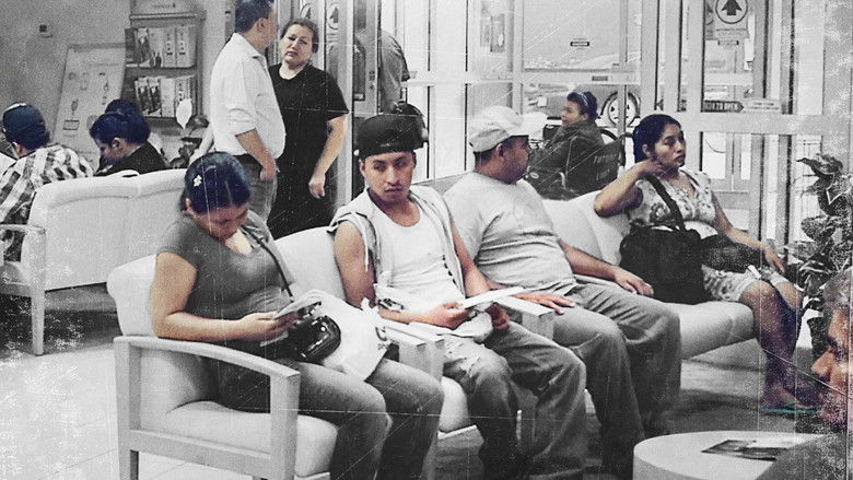 кадр из фильма Клиника для мигрантов