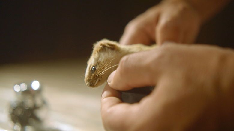 кадр из фильма Alicia