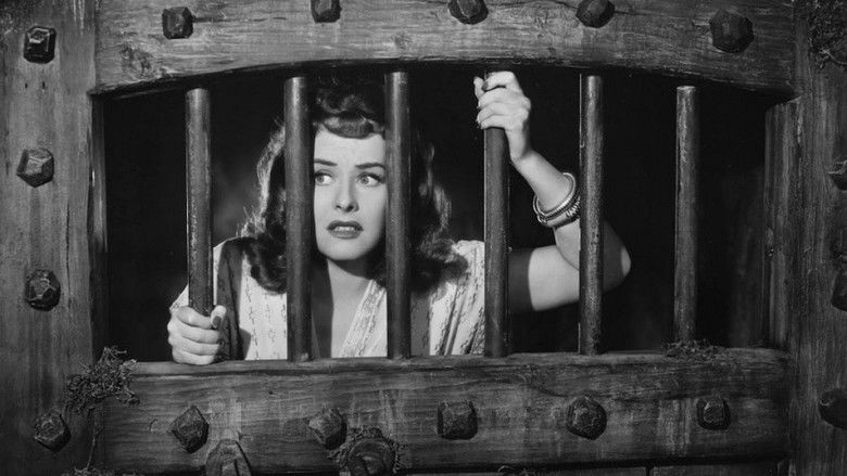 кадр из фильма The Lady Has Plans