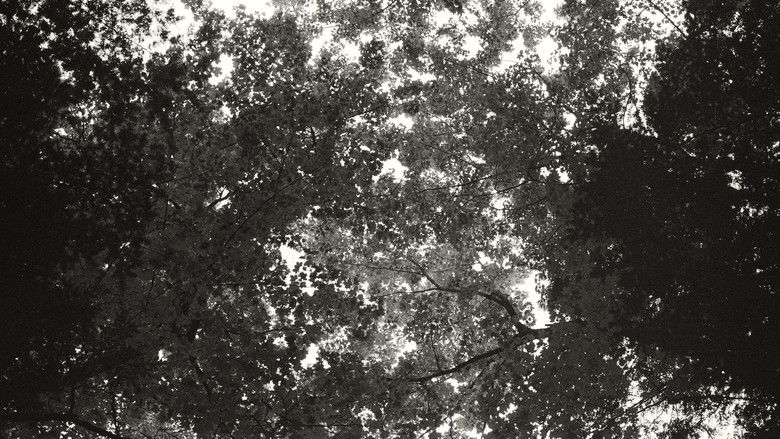 кадр из фильма Idle Hours