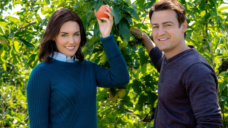 кадр из фильма Без ума от тебя