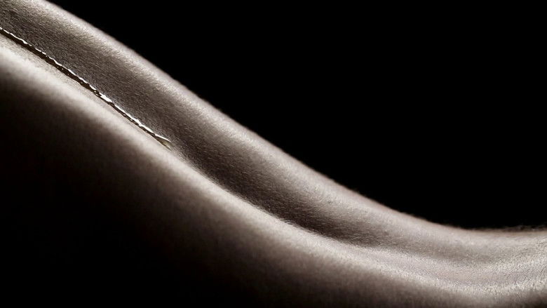 кадр из фильма Planète corps