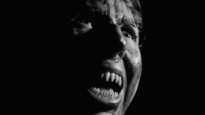 кадр из фильма Think Pink