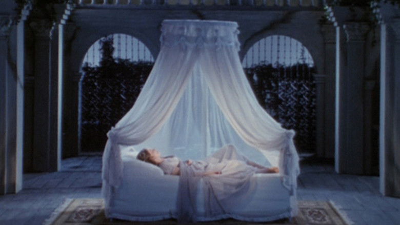 кадр из фильма Волшебная флейта